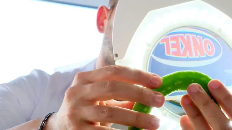 onkel şahingöz yaş meyve sebze ihracatı (5)