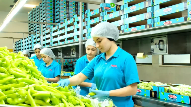 onkel şahingöz yaş meyve sebze ihracatı (8)